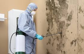 Best Residential Mold Inspection & Testing  in Palisades Park, NJ